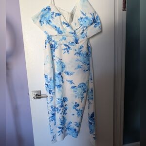 Asos Floral Blue and White Dress